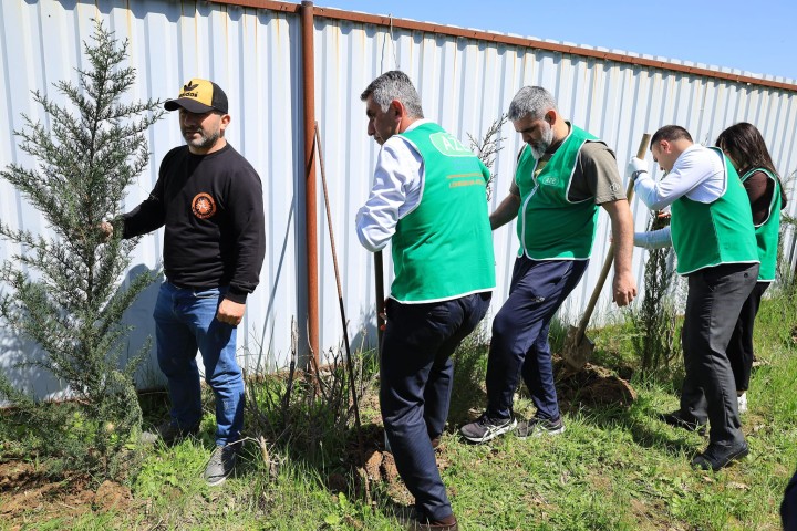 Lənkəran, Astara, Yardımlı, Masallı, Cəlilabad və Lerik rayonlarında ekoloji və ağacəkmə aksiyaları