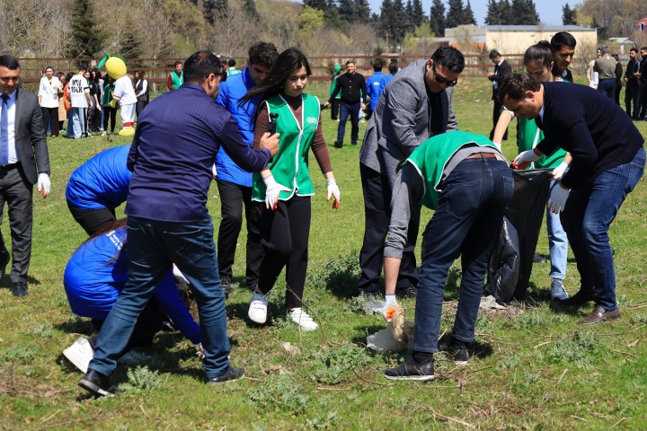 Lənkəran, Astara, Yardımlı, Masallı, Cəlilabad və Lerik rayonlarında ekoloji və ağacəkmə aksiyaları